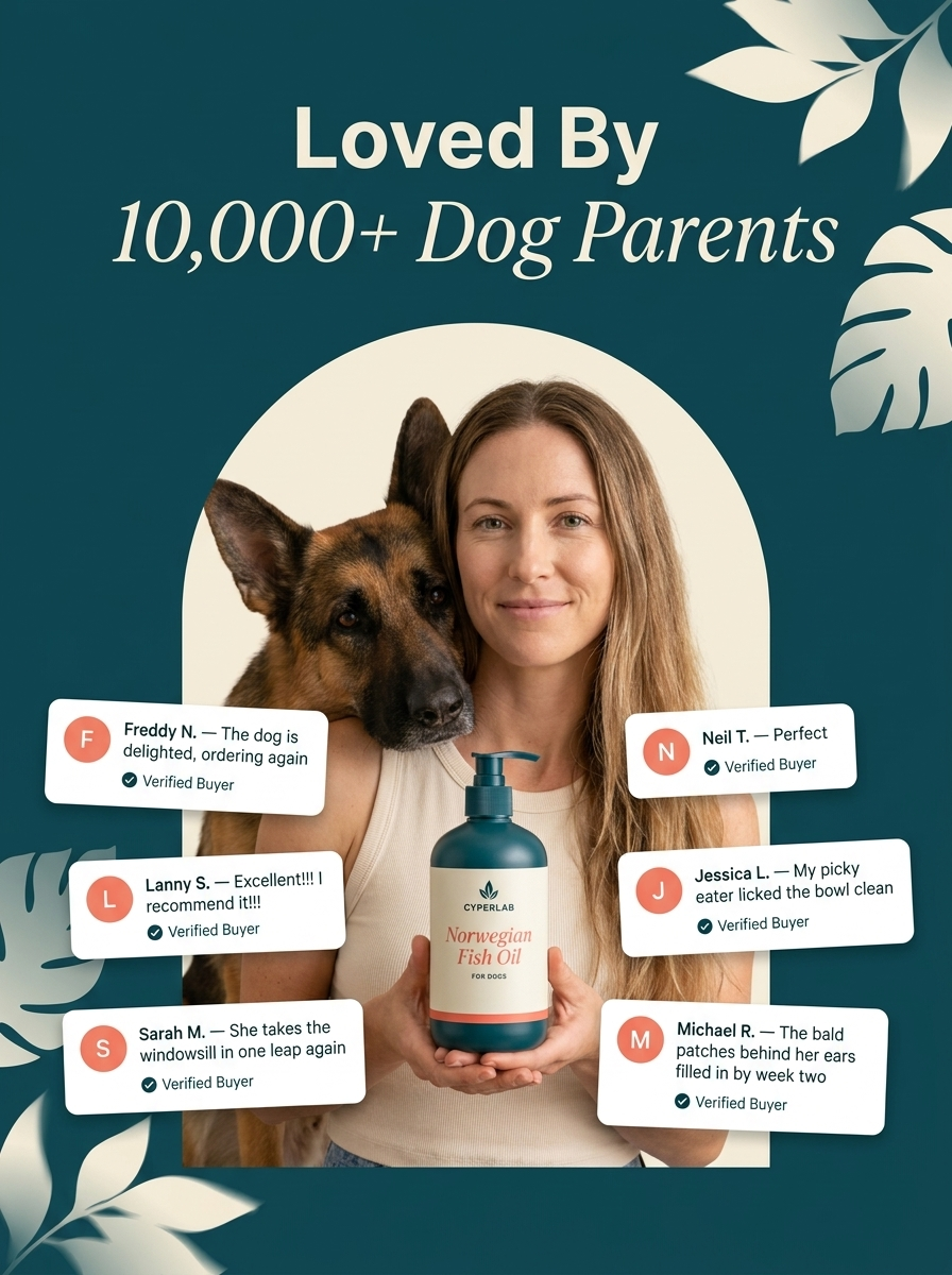 Norwegian Salmon Oil For Dogs