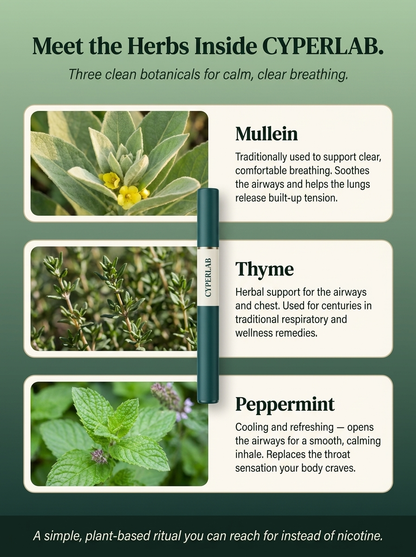 Mullein Botanical Pen  — Inhale A Few Puff Of This "Miracle Pen" To Replace Smoking Or Vaping Daily
